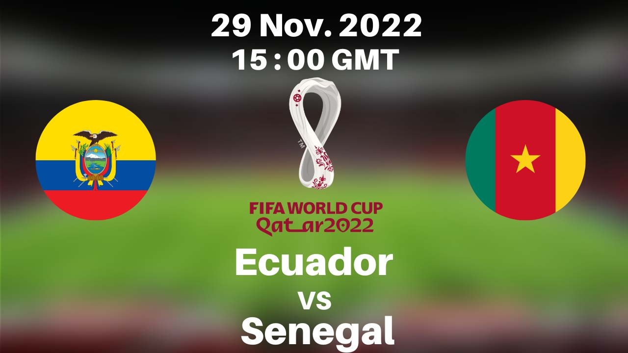 Soi kèo cùng may88 trận bảng A WC2022: Ecuador – Senegal, 22h ngày 29/11/2022